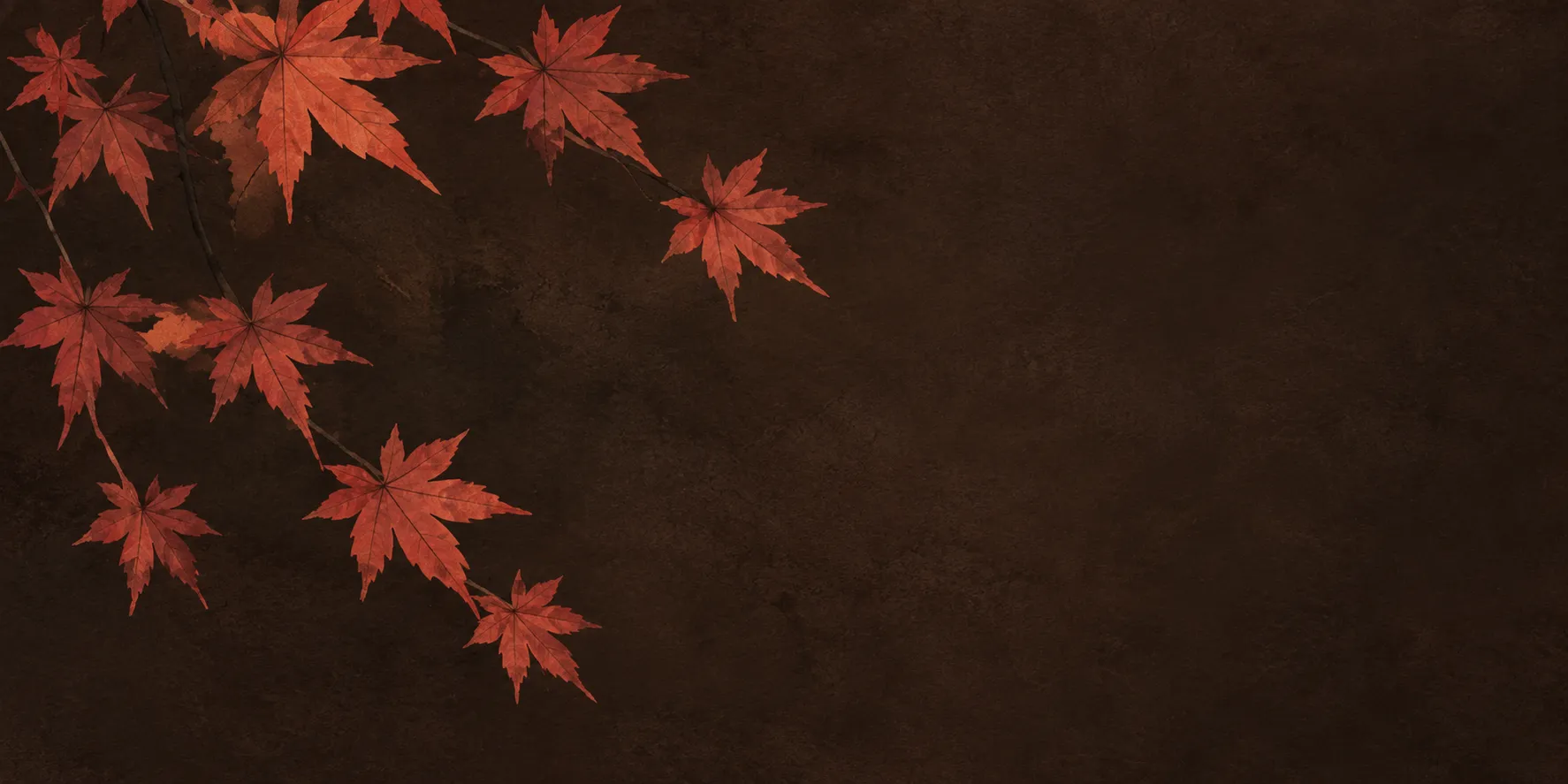 Red maple leaves on a bare branch, against a dark ground.